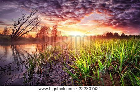 Spring landscape of colorful sunrise with beautiful sky over river. Wild spring nature in the morning. Vivid sunbeams on horizon and shining green grass on shore