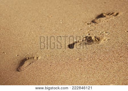 Traces on sand from sea water. Textures