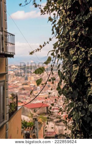 view of the city of Naples from the Old stairs in the city of Naples called Pedamantina, Unesco world heritage.