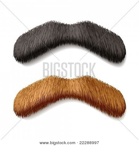 Sahte mustaches. Vektör.