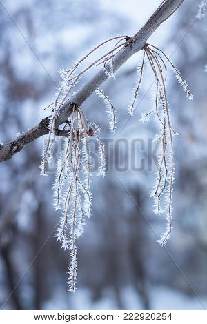 Winter Landscape View On Frozen Lake River