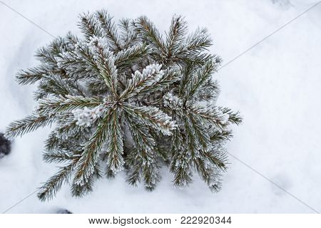 Winter Landscape View On Frozen Lake River