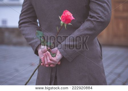 Man holding rose hiding on back at the park. Womans / Valentines Day concept.