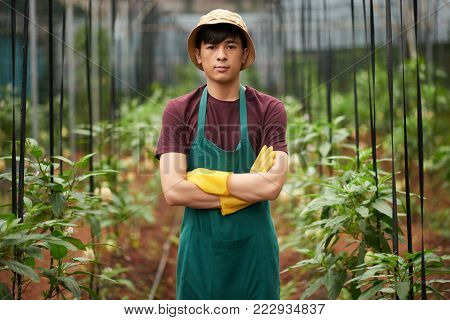 Portrait of young Vietnamese agro-engineer standing in hothouse