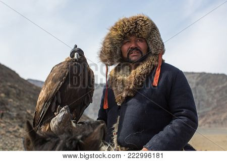 BAYAN-ULGII, MONGOLIA - SEP 30, 2017: Eagle Hunter at traditional clothing, while hunting to the hare holding a golden eagle, in mountains western Mongolia.