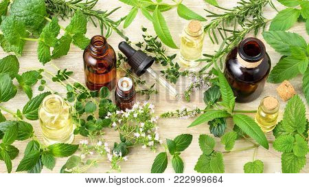 fresh herbs, flowers and massage oil on the wooden board