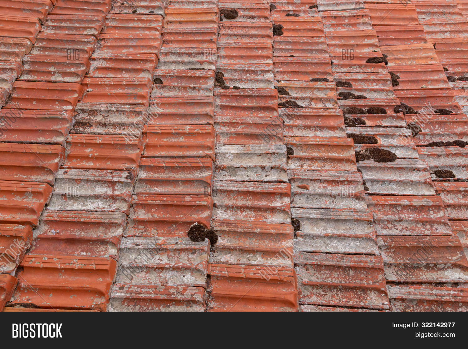 Background Old Image Photo Free Trial Bigstock