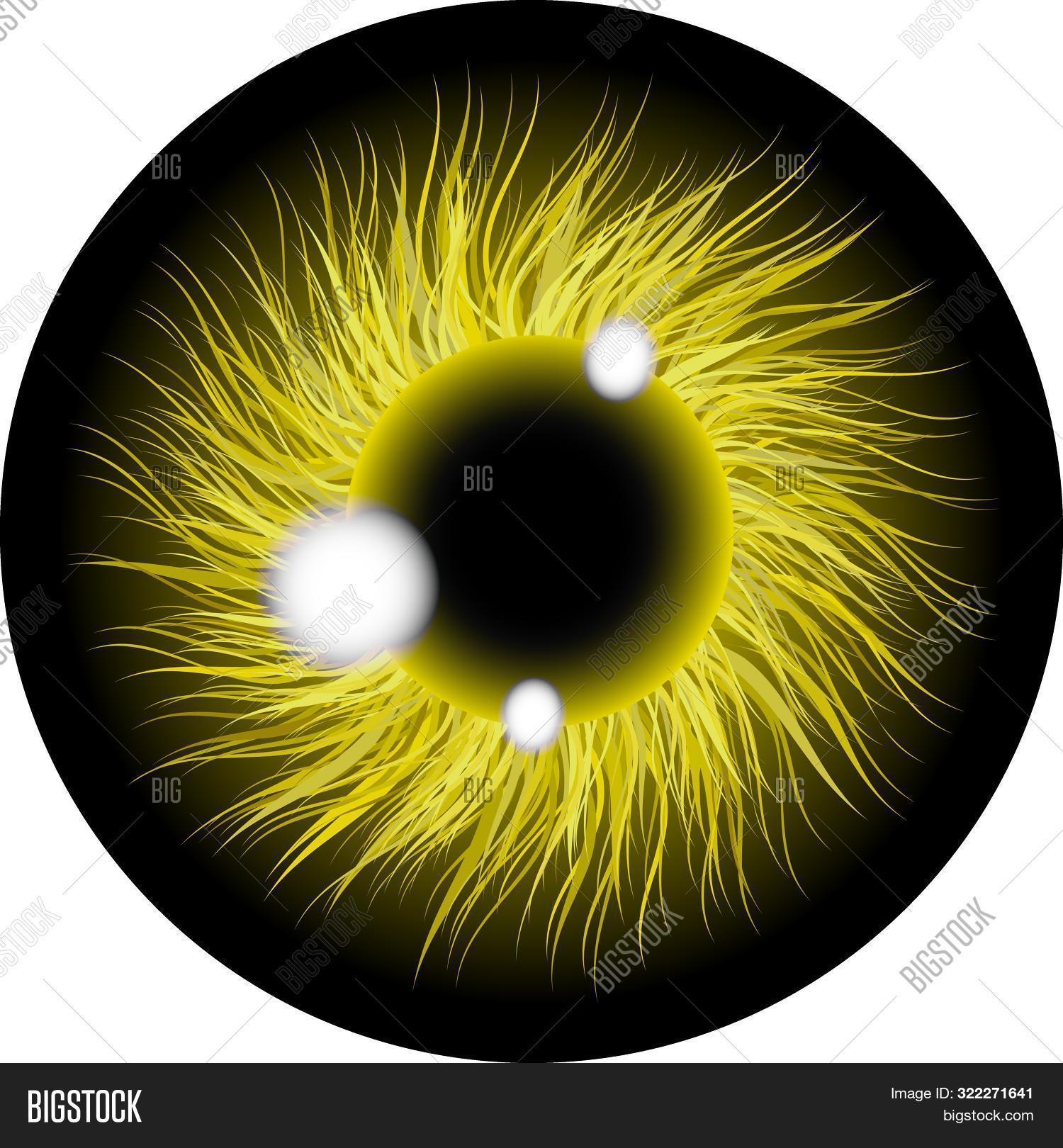 Eyes Illustration Image Photo Free Trial Bigstock