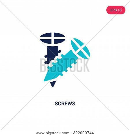 screws icon in two color design style.