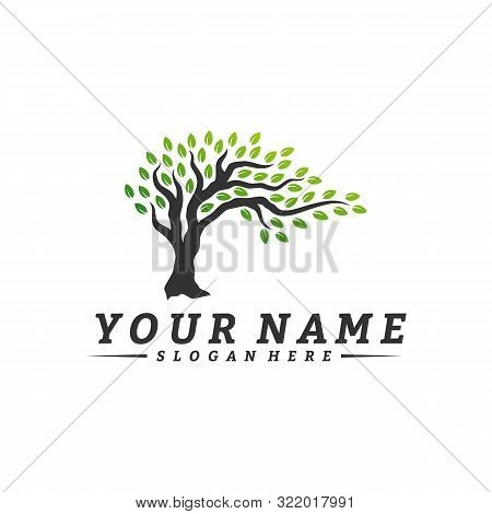 Colorful Vibrant Tree Logo Design Concept Vector. Root Of Tree Life Logo Design Template Inspiration