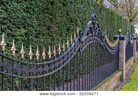 Sort malet jern hegn med gyldne pigge før en nåletræ hæk