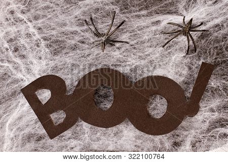 Word Boo On Decorative Spider Web. Halloween Holiday Concept With Decorative Web, Spiders And Paper 