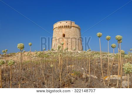 Landscape With Defense Tower Alcaufar - Torre De Defensa De Alcauf On The Balearic Island Menorca, S