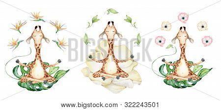 Cute Watercolor Geraffe With Tropical Flowers In Yoga Position Hand Drawn Illustration