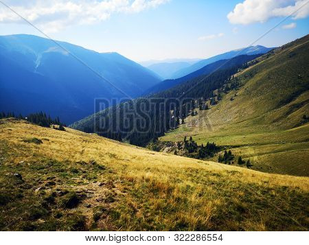 Green Mountains Under Blue Sky - Fagaras - Trail To The Lespezi Peak