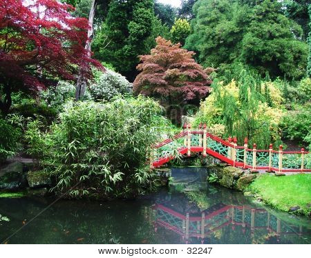 Un giardino giapponese