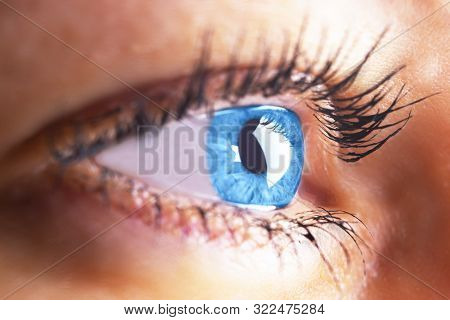 Beautiful Human Eye Image Photo Free Trial Bigstock