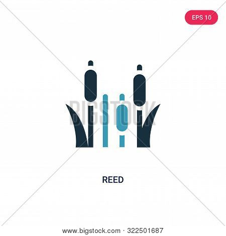 reed icon in two color design style.