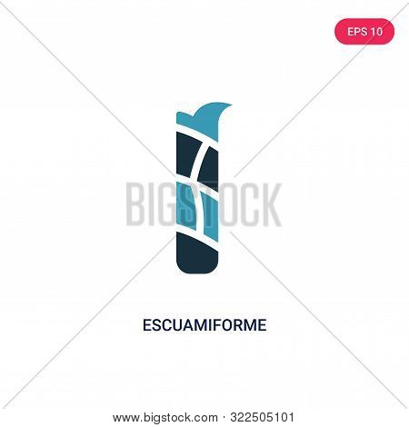 escuamiforme icon in two color design style.