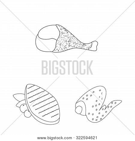Vector Illustration Of Food And Grilled Icon. Set Of Food And Bird Vector Icon For Stock.