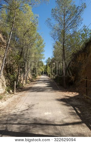 Road Of The Ebro Greenway In Tarragona
