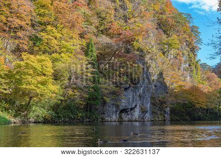 Geibi Gorge ( Geibikei ) Autumn Foliage Scenery View In Sunny Day. Many Wild Ducks In The Gorge And 