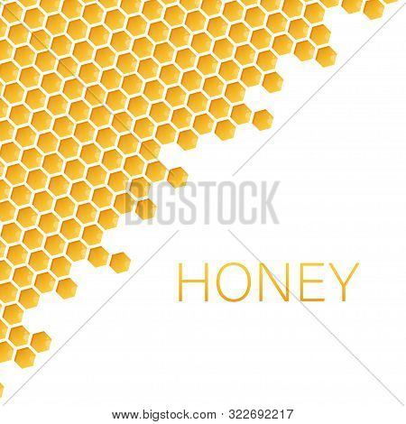 Honeycomb Monochrome Honey Pattern. Vector Stock Illustration.