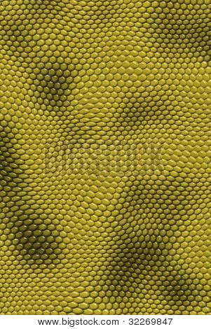 พื้นหลังสีเหลือง snakeskin