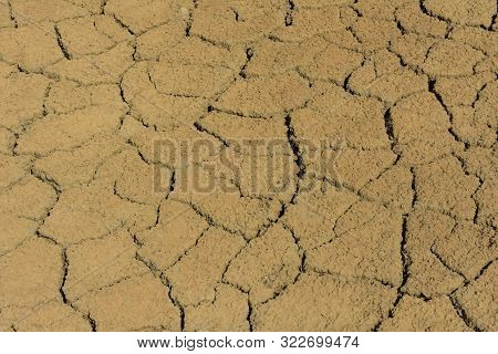 Mucky Dirty Mud Flats Of The Spanish Lagoon In Aruba.