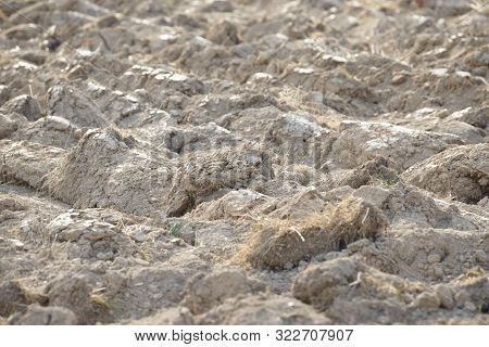 Arable Land In The Countryside. Farmland Landscape. View Of Agricultural Land Prepared For Sowing. P
