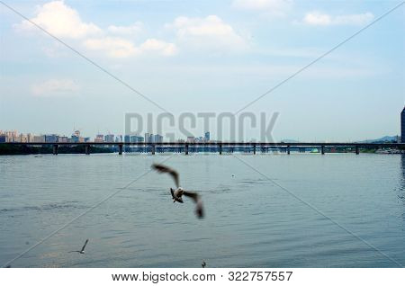 Hang River In Seoul In The Evening