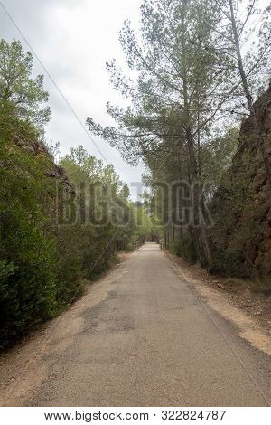 Road Of The Ebro Greenway In Tarragona