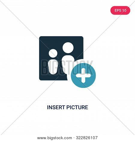 insert picture icon in two color design style.