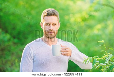 Man Bearded Tea Farmer Hold Mug Nature Background. Green Tea Contains Bioactive Compounds That Impro