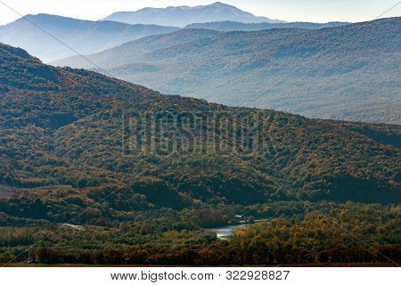 Scenic Landscape With Trees In Mountain Forest In Autumn.