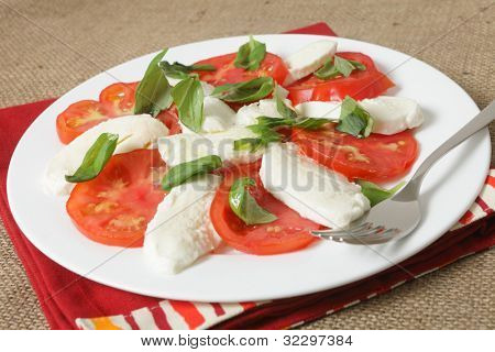 Bir geleneksel İtalyan caprese salatası bufala mozzarella peyniri, domates ve fesleğen.  Rengi 