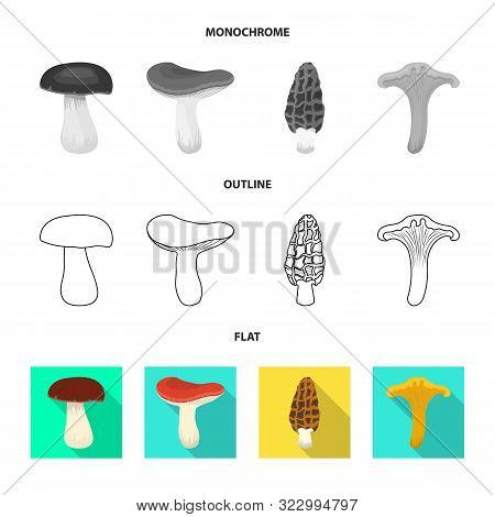 Isolated Object Of Raw And Summer Logo. Collection Of Raw And Ingredient Vector Icon For Stock.