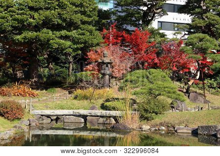 Autumn In Tokyo. Japanese Garden Autumn Colors. Kyu Shiba Rikyu Garden.