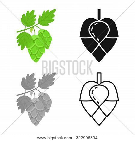 Vector Illustration Of Hop And Flower Sign. Set Of Hop And Bud Stock Vector Illustration.