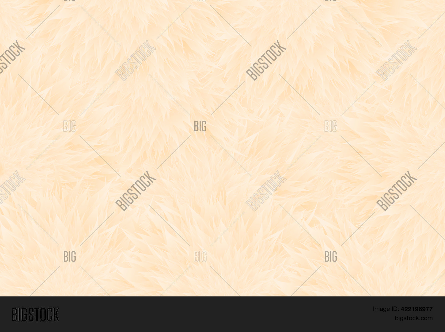 Abstract Fur Texture Vector & Photo (Free Trial) | Bigstock