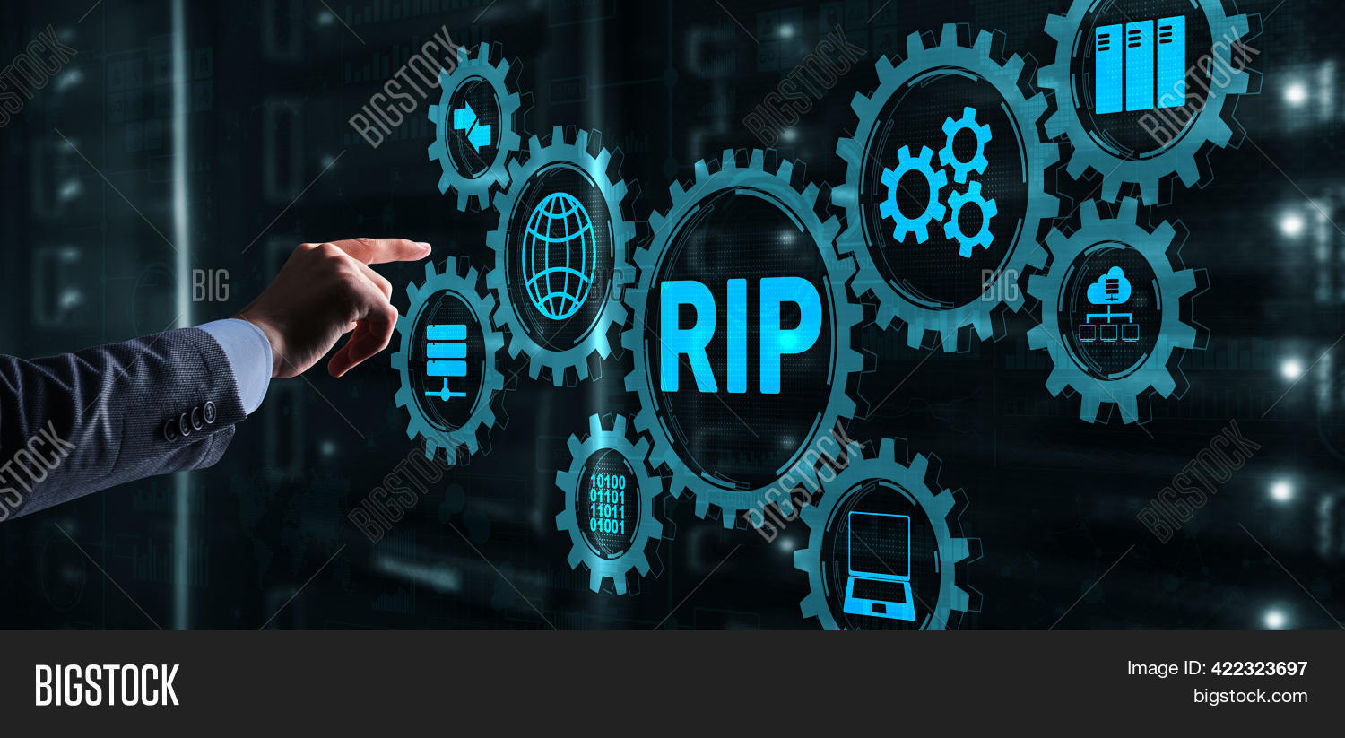 Rip Routing Image & Photo (Free Trial) | Bigstock