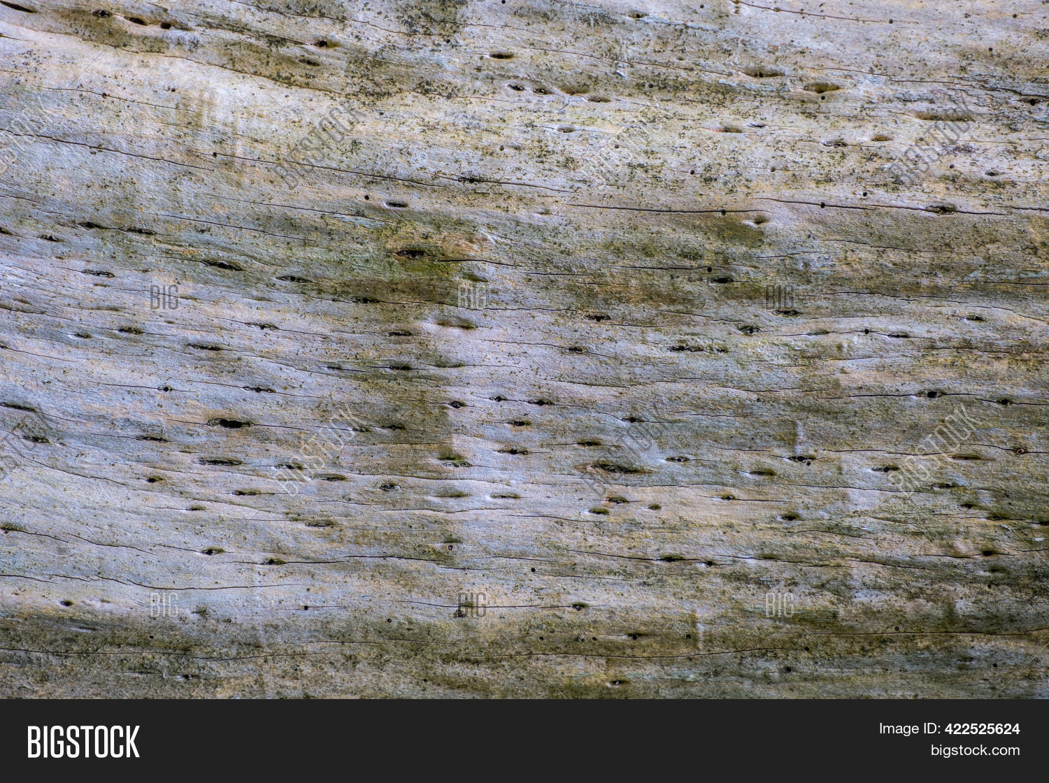 Horizontal View Image & Photo (Free Trial) | Bigstock