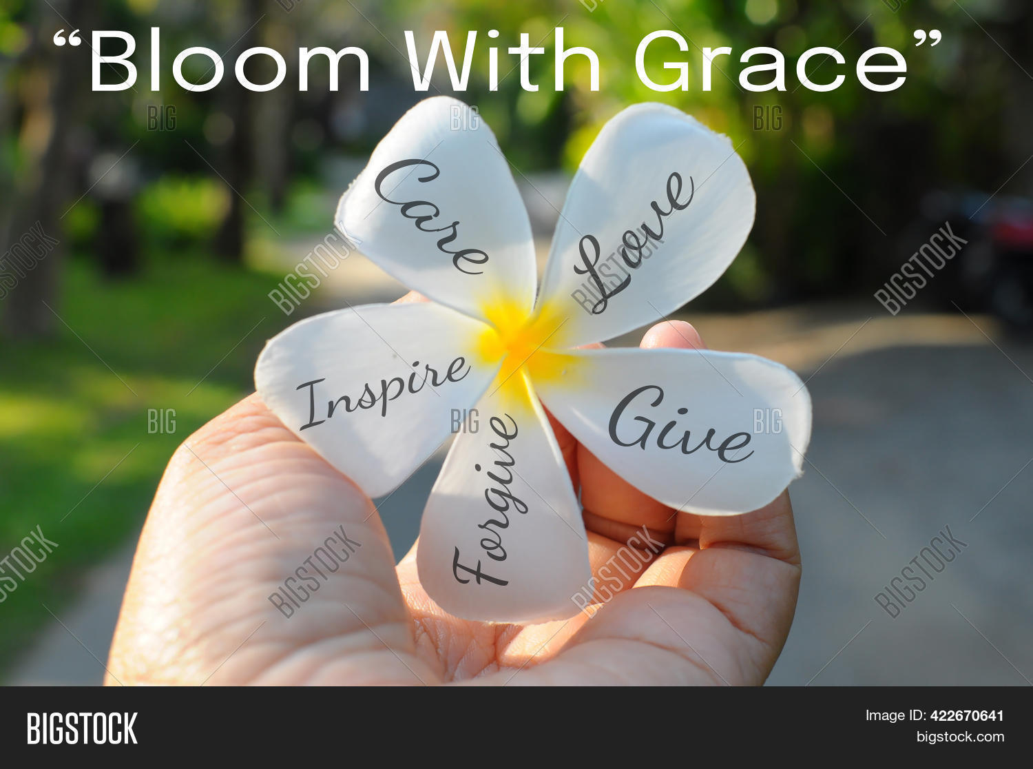 Bloom Grace Image Photo Free Trial Bigstock