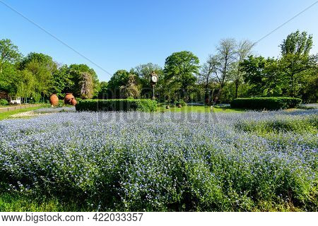 Landscape With Green Trees, Leaves, Vintage Clock And Many Small Blue Forget Me Not Or Scorpion Gras