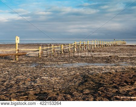 Nature Boardwalk Over Salt Swamp At Darer Ort, North Of Island Dar, Mecklenburg-western Pommerania, 