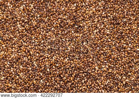 Food Background - Whole-grain Teff Seeds Close Up