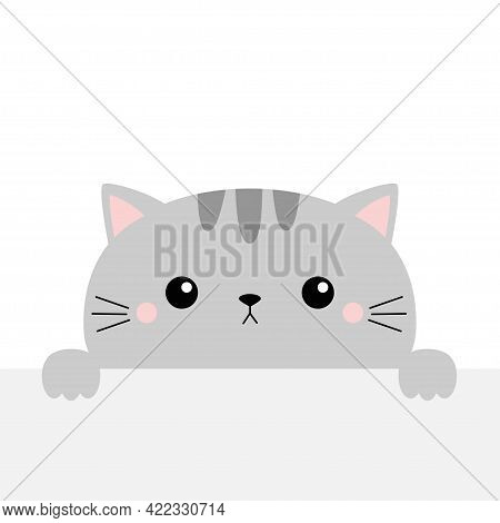 Gray Cat Holding Empty Paper, Table. Cute Cartoon Kawaii Funny Kitten Kitty Hiding Behind Paper Wall