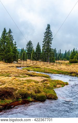 Mountain Grassland Landscape With Jizerka River, Jizera Mountains, Czech Republic.