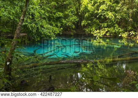 Emerald Pool (sra Morakot) In Krabi Province, Thailand. Beautiful Nature Scene Of Crystal Clear Blue