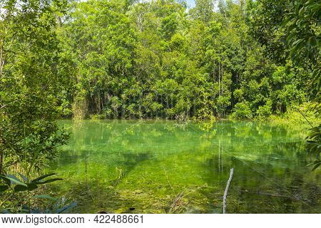 Khao Pra Bang Khram Wildlife Sanctuary Way To Emerald Pool Aka Sa Morakot Tourist Destination. Natio